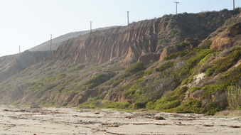 Enlarge photo 56