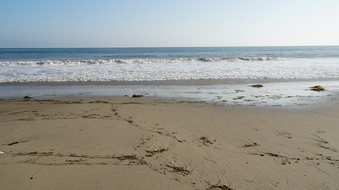 Enlarge photo 58