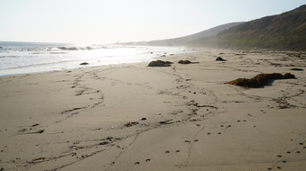 Enlarge photo 59
