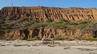 Enlarge photo 60