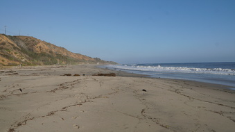 Enlarge photo 61
