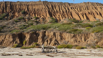 Enlarge photo 62