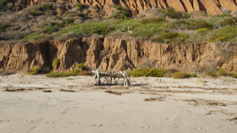 Enlarge photo 63