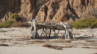 Enlarge photo 64
