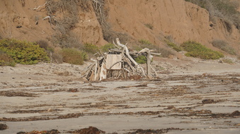 Enlarge photo 67