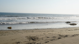 Enlarge photo 69