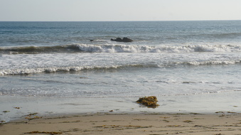 Enlarge photo 70