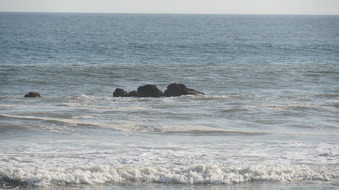 Enlarge photo 71