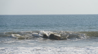 Enlarge photo 73