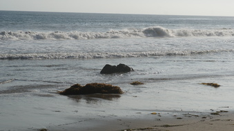Enlarge photo 74