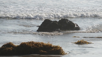 Enlarge photo 75