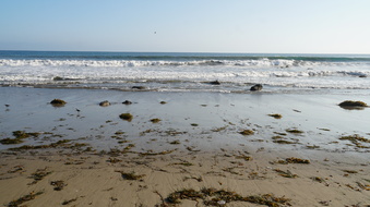 Enlarge photo 77