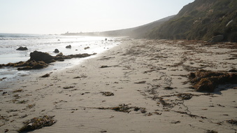 Enlarge photo 78