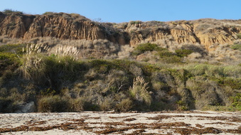 Enlarge photo 79