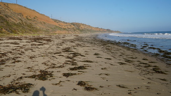 Enlarge photo 80