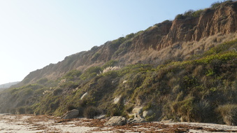 Enlarge photo 81