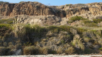 Enlarge photo 82