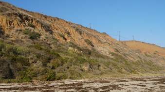 Enlarge photo 83