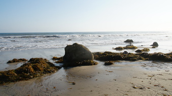 Enlarge photo 84