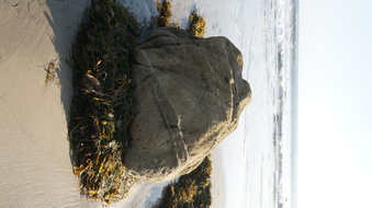 Enlarge photo 85