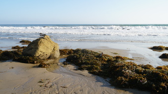 Enlarge photo 87