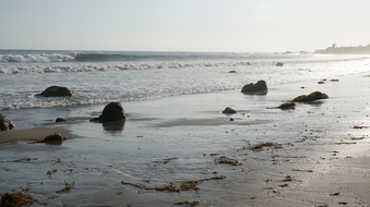 Enlarge photo 88