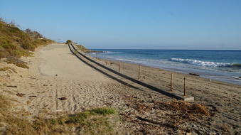 Enlarge photo 90