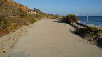 Enlarge photo 92