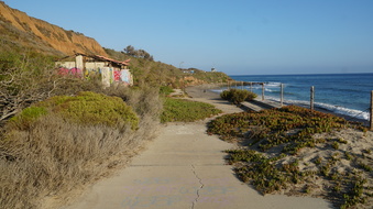 Enlarge photo 93