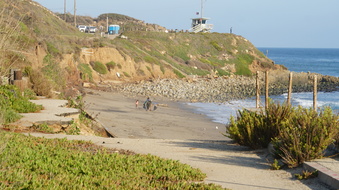 Enlarge photo 95