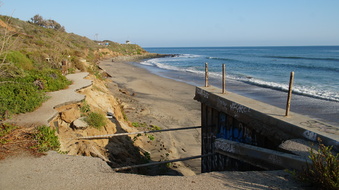 Enlarge photo 98