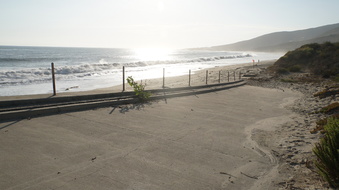 Enlarge photo 104