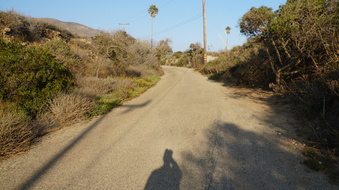Enlarge photo 107