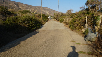 Enlarge photo 108