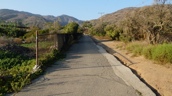 Enlarge photo 109
