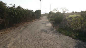 Enlarge photo 110
