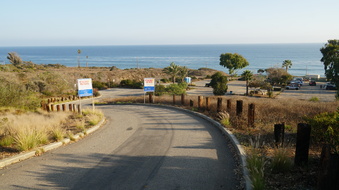 Enlarge photo 119