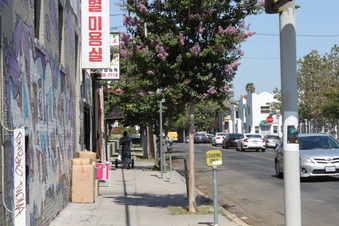 Enlarge photo 9