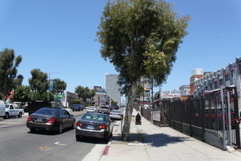 Enlarge photo 20