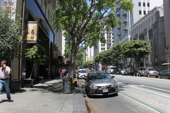 Enlarge photo 8