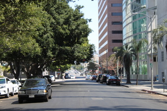 Serrano and Wilshire