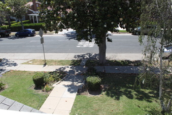 Enlarge photo 30