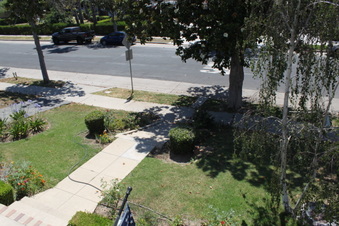 Enlarge photo 35
