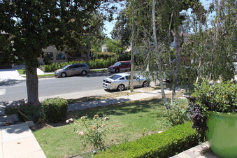 Enlarge photo 36