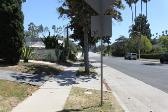 Enlarge photo 37