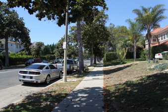 Enlarge photo 39