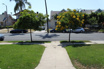 Enlarge photo 25