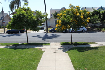 Enlarge photo 27