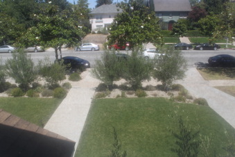Enlarge photo 16