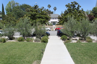 Enlarge photo 40